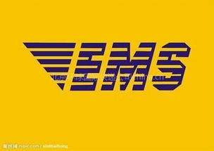 青島進口代理與EMS快遞清關 專業服務與廣告設計策略